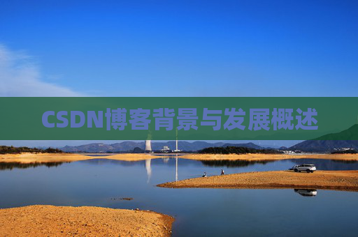 CSDN博客背景与发展概述